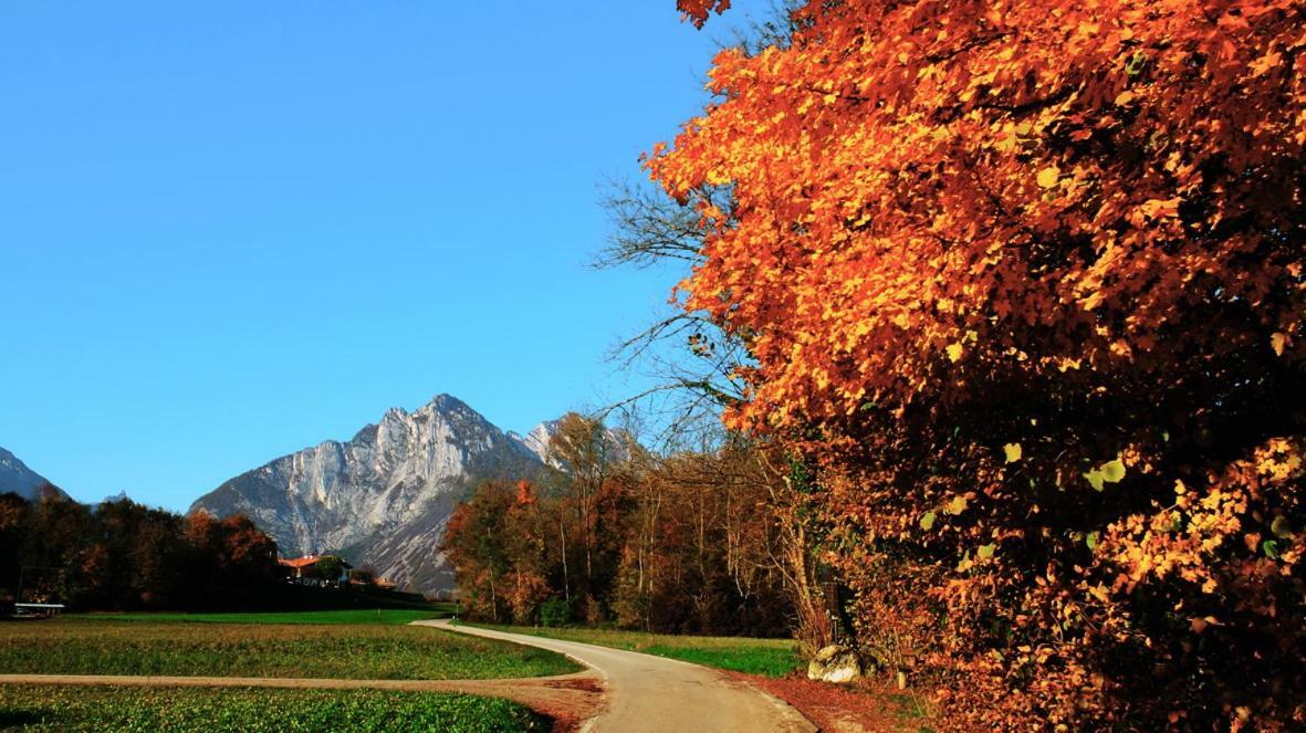 B&B Col Del Vin Belluno Ngoại thất bức ảnh
