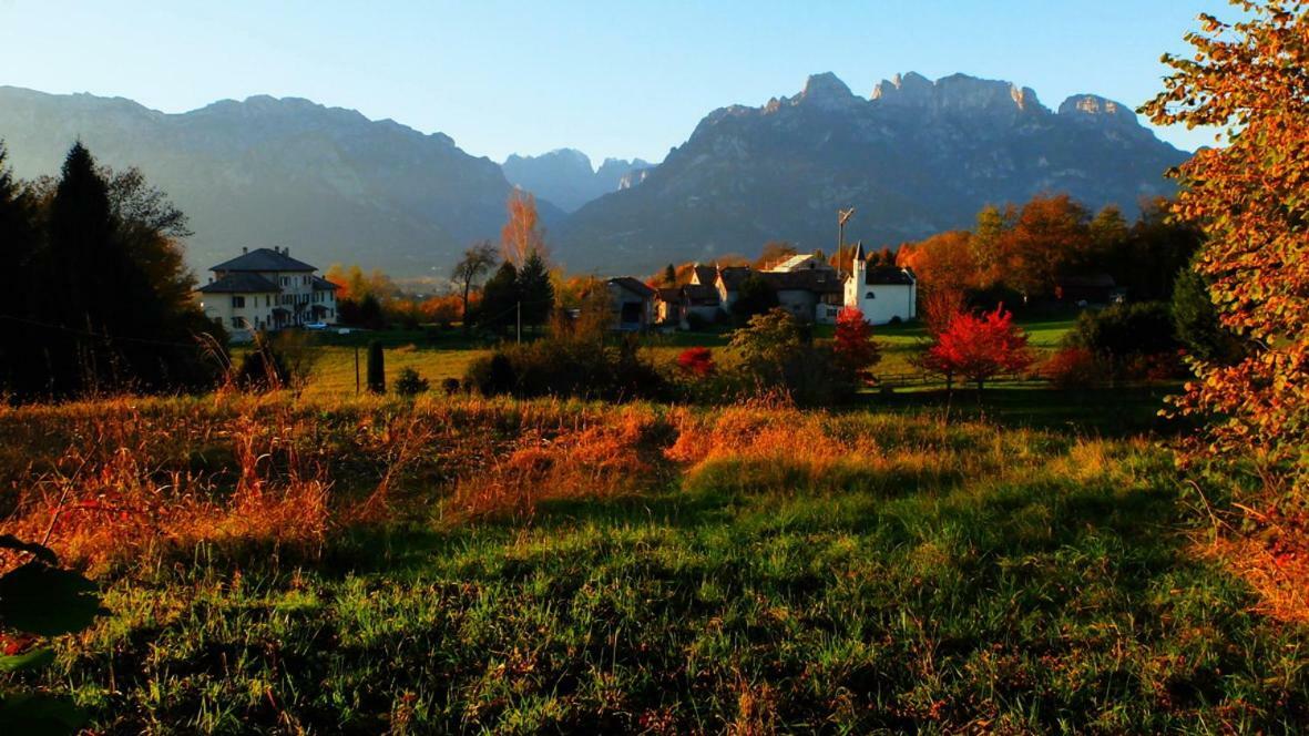 B&B Col Del Vin Belluno Ngoại thất bức ảnh