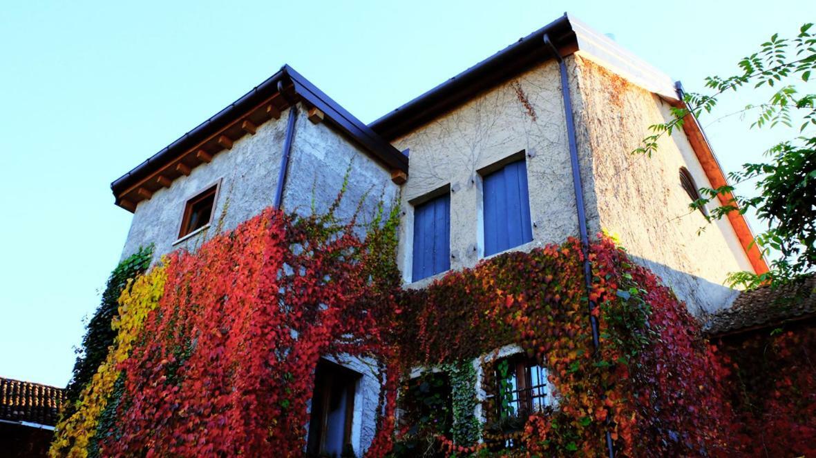 B&B Col Del Vin Belluno Ngoại thất bức ảnh