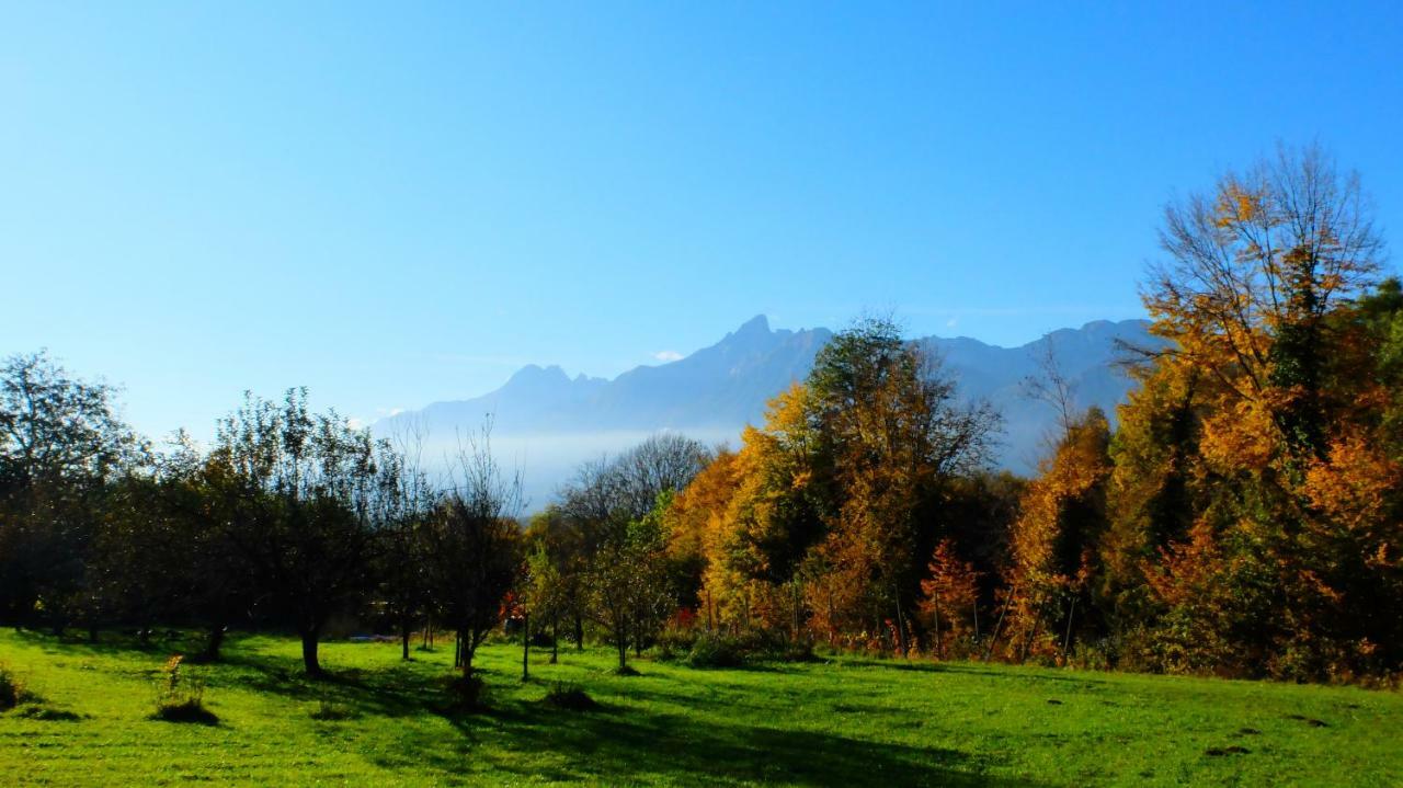 B&B Col Del Vin Belluno Ngoại thất bức ảnh